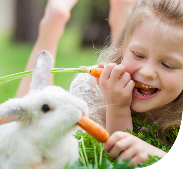 Bien-être du lapin nain