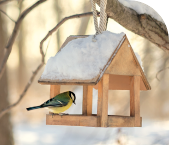 Bien vivre à leurs cotes